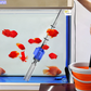 🐟💧 Cambia Acqua Elettrico per Acquario con Filtro Multistrato & Aspiratore – Alta Potenza 16W/20W, ABS Resistente, Facile da Usare – Pulizia Rapida & Efficiente ✨🐠