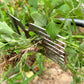 🌿🔧 Estirpatore Manuale di Erbacce per Prato e Giardino – Artigli in Acciaio Inox, Manico Ergonomico, 5 Stili – Estirpa le Radici Senza Sforzo 🌱✨
