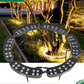 🌳💡 Lampada Anulare LED per Alberi e Pilastri – IP67, Alluminio + Vetro Temperato, 12W, 24V o 220V, 3 Colori Luce – Posa a Terra o Montaggio su Palo 🌟✨