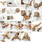 🐱🧶 Tiragraffi a Palla in Sisal Naturale | Palla Cava Rotante 🔄, Doppio Lato  & Base Stabile 🛡️ | Proteggi i Mobili 🛋️ | Taglia Media o Grande 📏