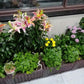 🌱🪴 Fioriera Modulare per Orto e Piante | Autoirrigazione 💧, Drenaggio & Struttura Stabile 🛡️ | PP Rinforzato ☀️ | 6 Formati per Giardino e Balcone