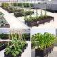 🌱🪴 Fioriera Modulare per Orto e Piante | Autoirrigazione 💧, Drenaggio & Struttura Stabile 🛡️ | PP Rinforzato ☀️ | 6 Formati per Giardino e Balcone