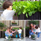 🌱🪴 Fioriera Modulare per Orto e Piante | Autoirrigazione 💧, Drenaggio & Struttura Stabile 🛡️ | PP Rinforzato ☀️ | 6 Formati per Giardino e Balcone