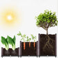 🌱🪴 Fioriera Modulare per Orto e Piante | Autoirrigazione 💧, Drenaggio & Struttura Stabile 🛡️ | PP Rinforzato ☀️ | 6 Formati per Giardino e Balcone