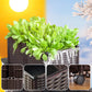 🌱🪴 Fioriera Modulare per Orto e Piante | Autoirrigazione 💧, Drenaggio & Struttura Stabile 🛡️ | PP Rinforzato ☀️ | 6 Formati per Giardino e Balcone