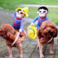 🤠🐶 Costume da Cowboy per Cani | Tessuto Morbido e Traspirante | Pony Peluche e Cappellino Removibili | Taglie S–XL, 30–90 cm | Feste e Foto 📸
