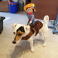 🤠🐶 Costume da Cowboy per Cani | Tessuto Morbido e Traspirante | Pony Peluche e Cappellino Removibili | Taglie S–XL, 30–90 cm | Feste e Foto 📸