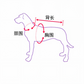 🤠🐶 Costume da Cowboy per Cani | Tessuto Morbido e Traspirante | Pony Peluche e Cappellino Removibili | Taglie S–XL, 30–90 cm | Feste e Foto 📸