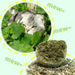 🧶Palla Gigante di Erba Gatta Naturale 10 cm 🐱🌿 - Masticabile & Interattiva | Allevia lo Stress & Pulisce i Denti | 100% Sicura e Atossica | Ideale per Gatti di Tutte le Età | 50% DI SCONTO 💚