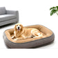 🐾 Letto Ergonomico per Animali Domestici | ☁️ Morbido e Traspirante | 🛏️ Supporto per Tutte le Stagioni | 🏠 Design Confortevole