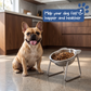 🥣Ciotola Ortopedica Inclinata a 15° | Supporto per Collo e Digestione 🐶 | Acciaio Inossidabile Antigravità ✨ | Ideale per Cani e Cuccioli 🐾