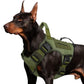 🐶 Gilet Tattico per Cani in Tessuto Oxford | Antiacqua e Rinforzato 🛡️ | Maniglia di Sollevamento Rapida ✋ | Ergonomico e Comodo 🐾 | Taglie S–XL, 5 Colori 🎨