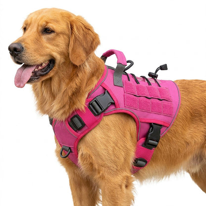 🐶 Gilet Tattico per Cani in Tessuto Oxford | Antiacqua e Rinforzato 🛡️ | Maniglia di Sollevamento Rapida ✋ | Ergonomico e Comodo 🐾 | Taglie S–XL, 5 Colori 🎨