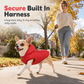 🧥 Giacca Autunno-Inverno con Cappuccio per Cani | Fodera in Pile Calda e Antivento ❄️ | Pettorina Integrata con Anello 🔗 | Elastica e Comoda per Passeggiate 🐕 | 3 Colori, XS–XL 📏