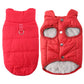 🧥 Giacca Autunno-Inverno con Cappuccio per Cani | Fodera in Pile Calda e Antivento ❄️ | Pettorina Integrata con Anello 🔗 | Elastica e Comoda per Passeggiate 🐕 | 3 Colori, XS–XL 📏