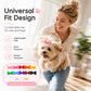 🎀 Mollettine con Fiocco per Cani e Gatti | Clip Delicate per Pelo e Acconciature 🐾 | Perfette per Foto, Feste e Uso Quotidiano 📸 | Set 10 Pezzi, Colori Misti 🎨