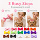 🎀 Mollettine con Fiocco per Cani e Gatti | Clip Delicate per Pelo e Acconciature 🐾 | Perfette per Foto, Feste e Uso Quotidiano 📸 | Set 10 Pezzi, Colori Misti 🎨