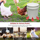 🐔 Abbeveratoio Automatico per Pollame, 10 Pezzi | Riempimento Automatico della Ciotola 💧 | Tazze Grandi per Polli, Anatre e Tacchini 🦆 | Materiale ABS Durevole, Senza Perdite 🛡️