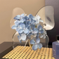Vaso Trasparente a Forma di Farfalla 🦋🌷 | Espone Fiori e Verde con un Tocco Scultoreo | Decorazione Leggera per Casa ed Eventi