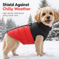 🐶Cappottino Invernale Imbottito per Cani ❄️ | Più Calore nelle Passeggiate, Anelli a D per il Guinzaglio | 4 Colori, Taglie XS–6XL
